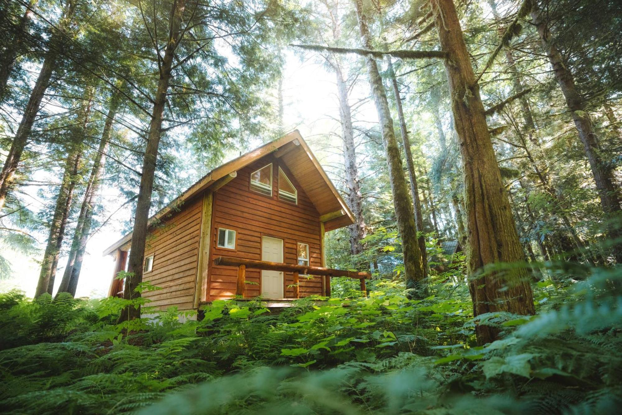 Bella Coola Grizzly Tours And Resort Hagensborg 외부 사진