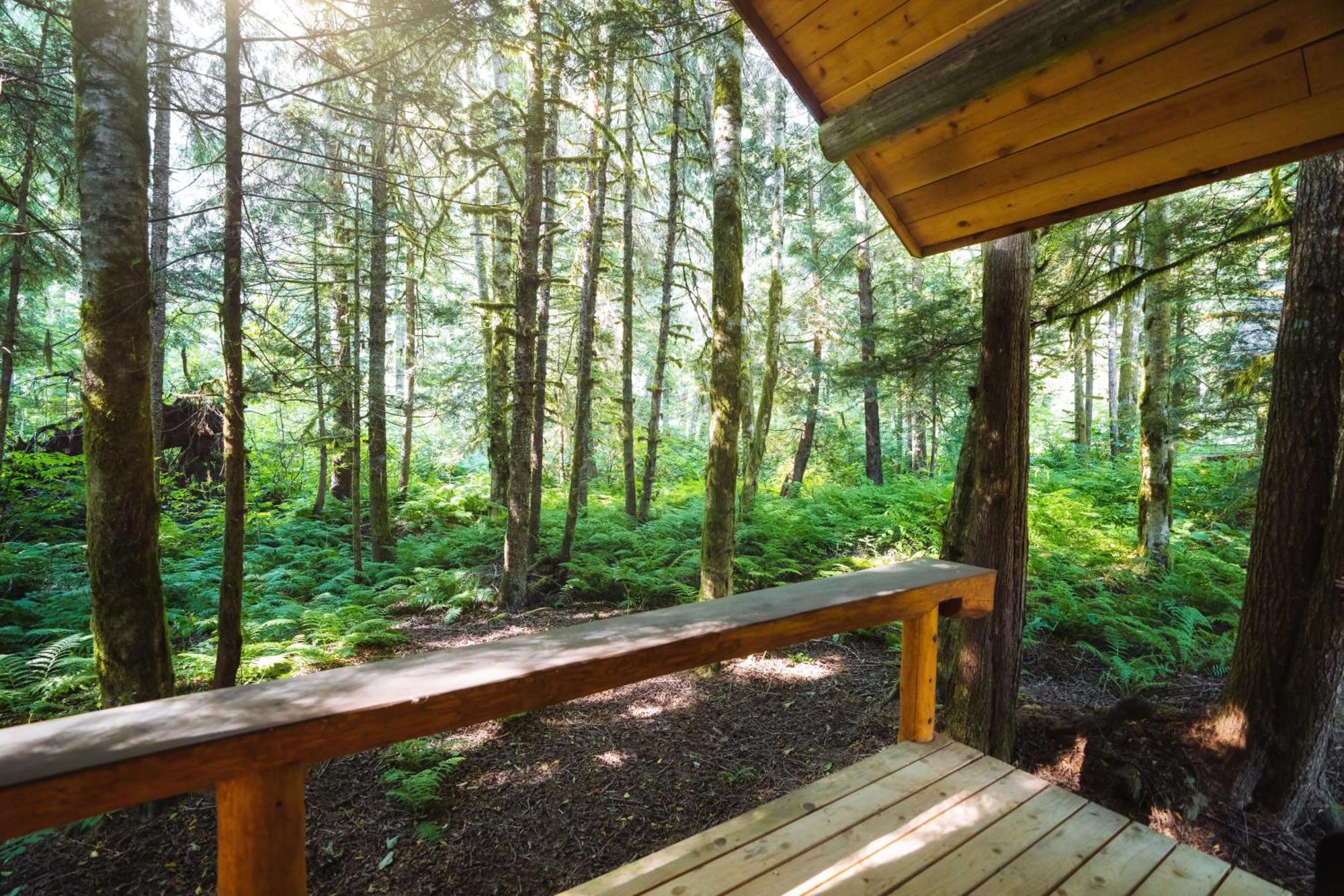 Bella Coola Grizzly Tours And Resort Hagensborg 외부 사진