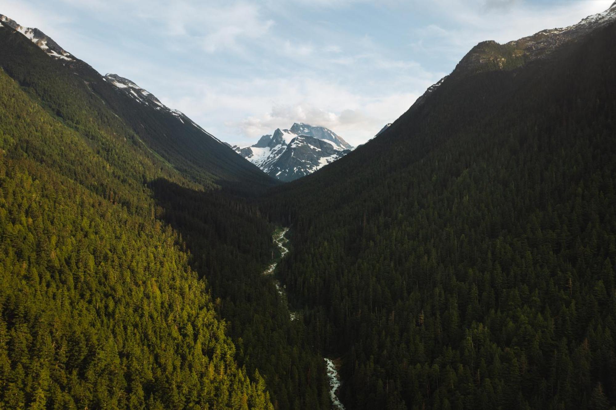 Bella Coola Grizzly Tours And Resort Hagensborg 외부 사진