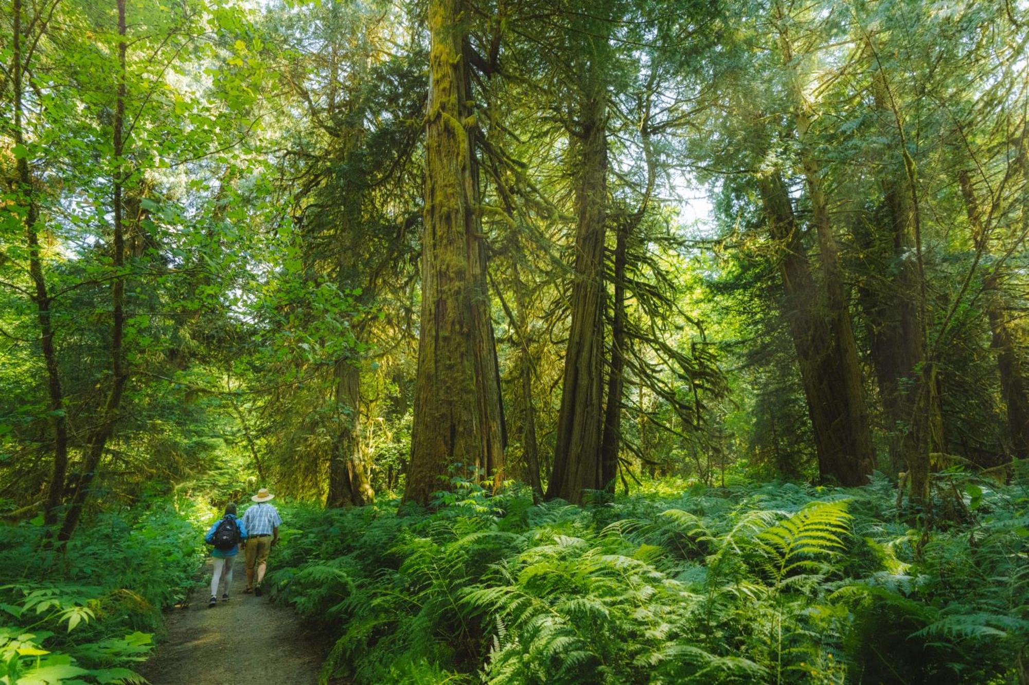 Bella Coola Grizzly Tours And Resort Hagensborg 외부 사진