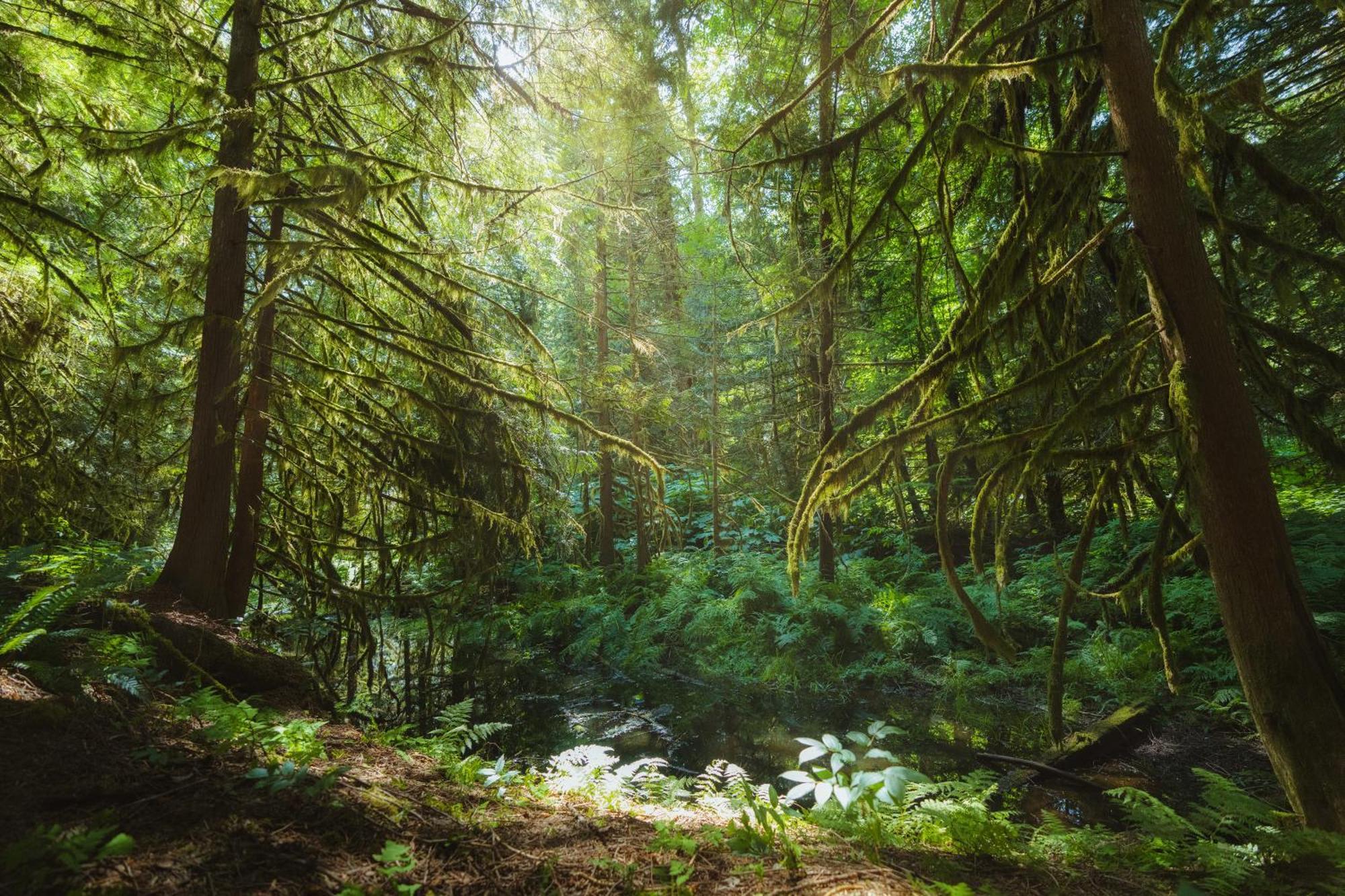 Bella Coola Grizzly Tours And Resort Hagensborg 외부 사진