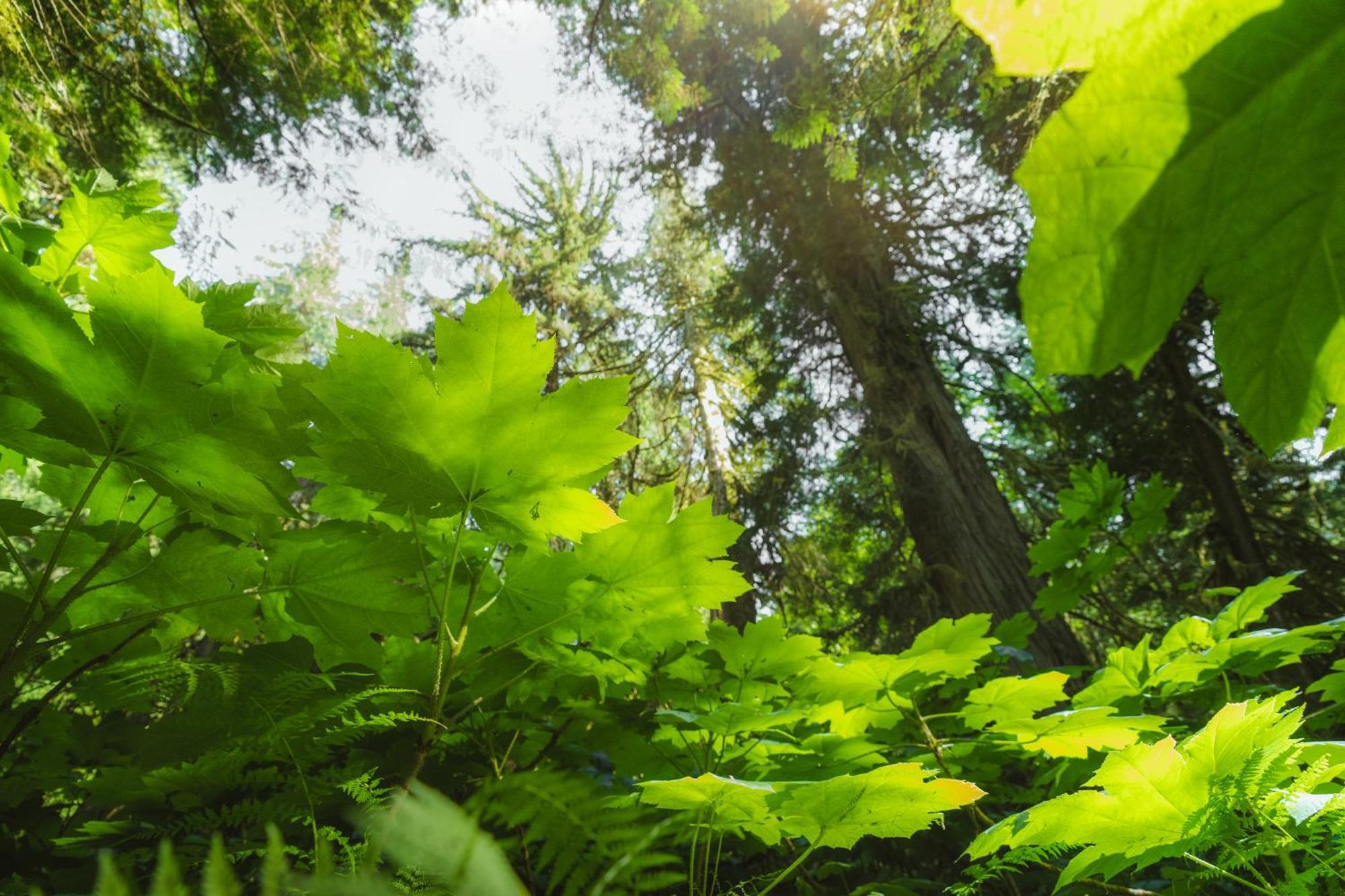 Bella Coola Grizzly Tours And Resort Hagensborg 외부 사진