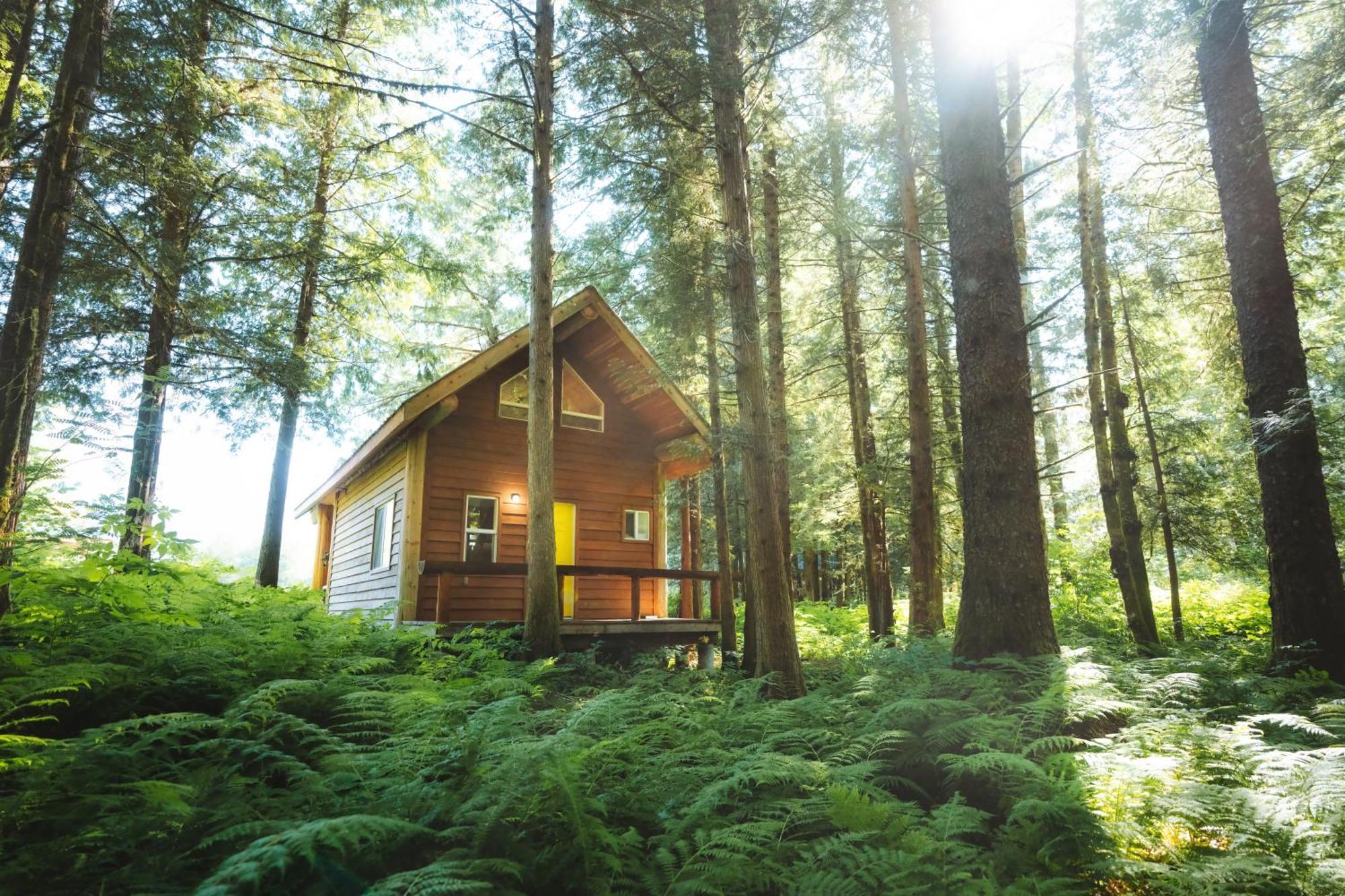 Bella Coola Grizzly Tours And Resort Hagensborg 외부 사진